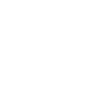 79x icon