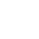 79x icon