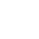 79x icon
