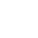 79x icon